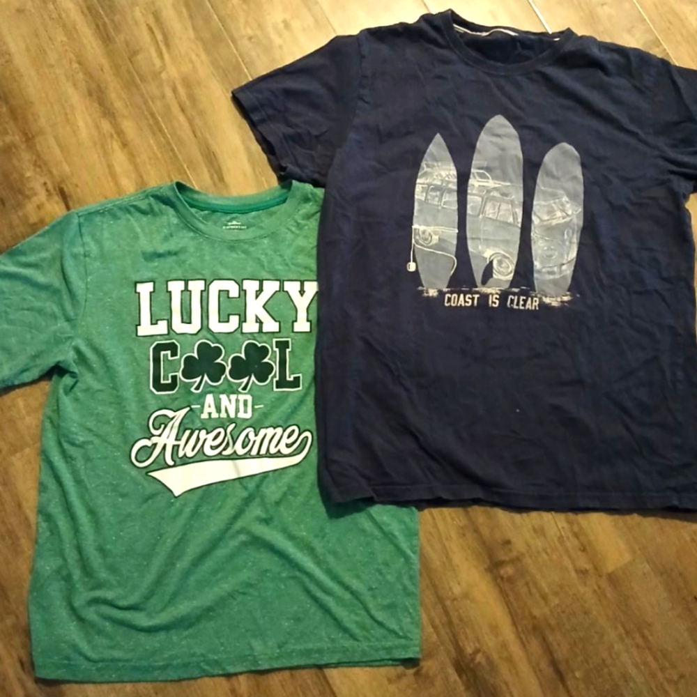 2 T-shirts bundle. Cotton, size L boys.